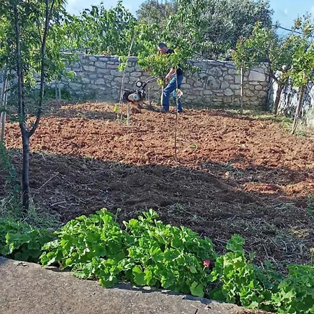 Areti Semesterbostad Chrisokellaria
