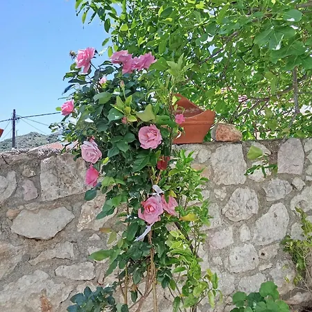 Vakantiehuis Areti *