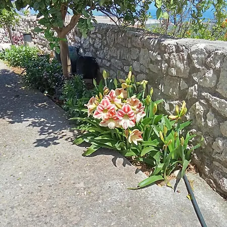 Areti Vakantiehuis Chrisokellaria